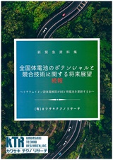 全固体電池のポテンシャルと競合技術に関する将来展望【本編+続報版】　～リチウムイオン固体電解質がBEV 用電池をいかに革新するか～